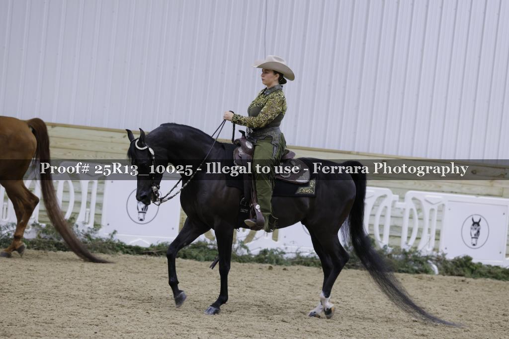 Proof Number 25R13_10025