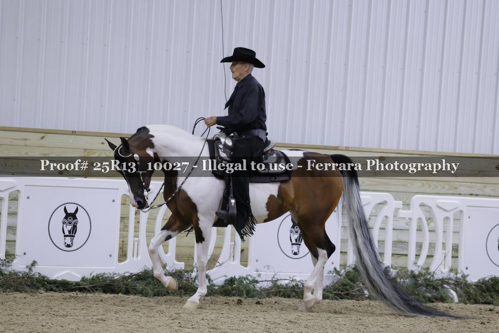 Proof Number 25R13_10027