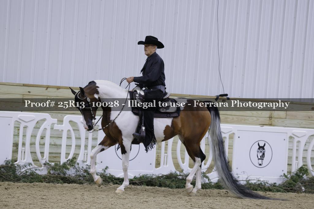 Proof Number 25R13_10028