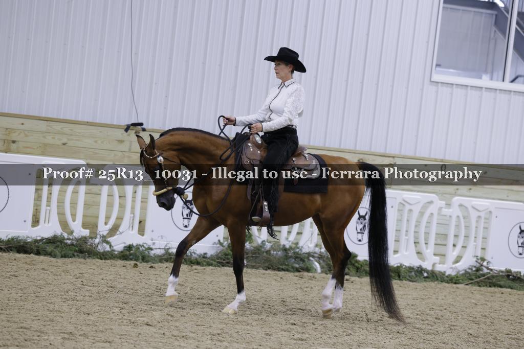 Proof Number 25R13_10031