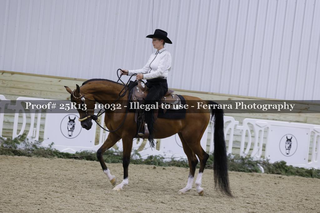 Proof Number 25R13_10032