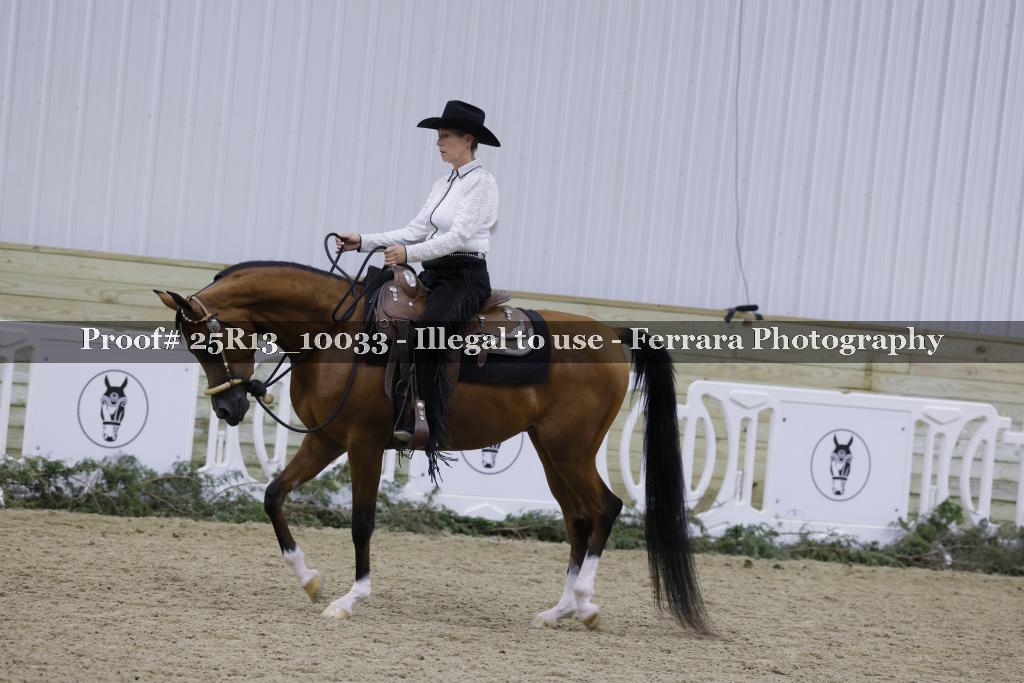 Proof Number 25R13_10033