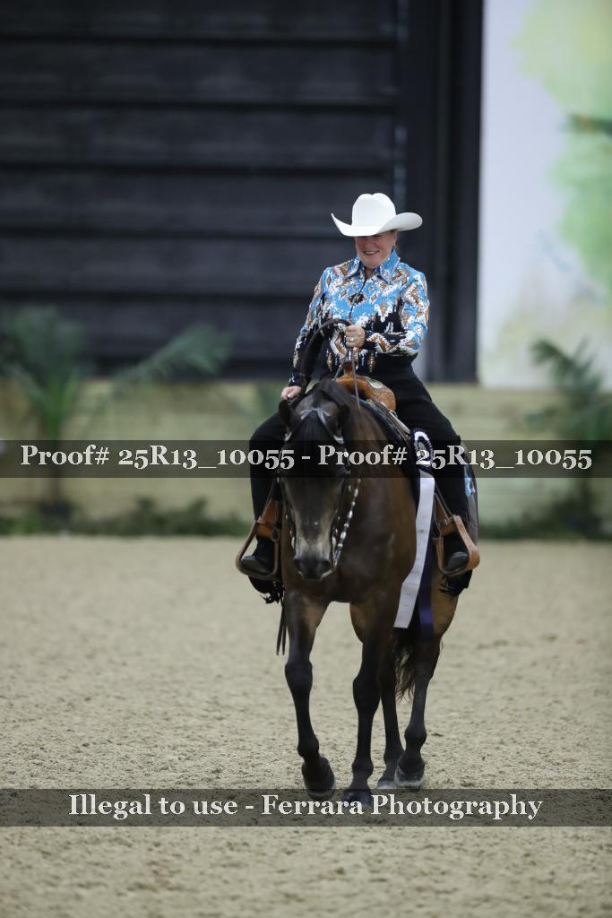 Proof Number 25R13_10055