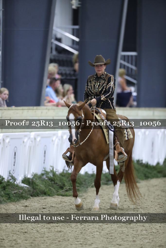 Proof Number 25R13_10056