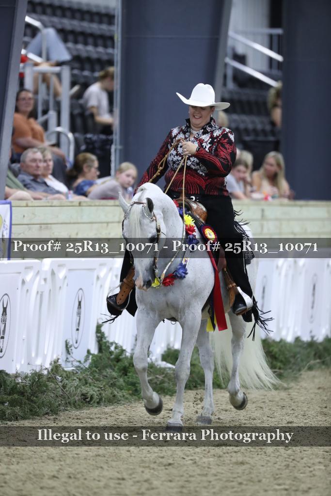 Proof Number 25R13_10071