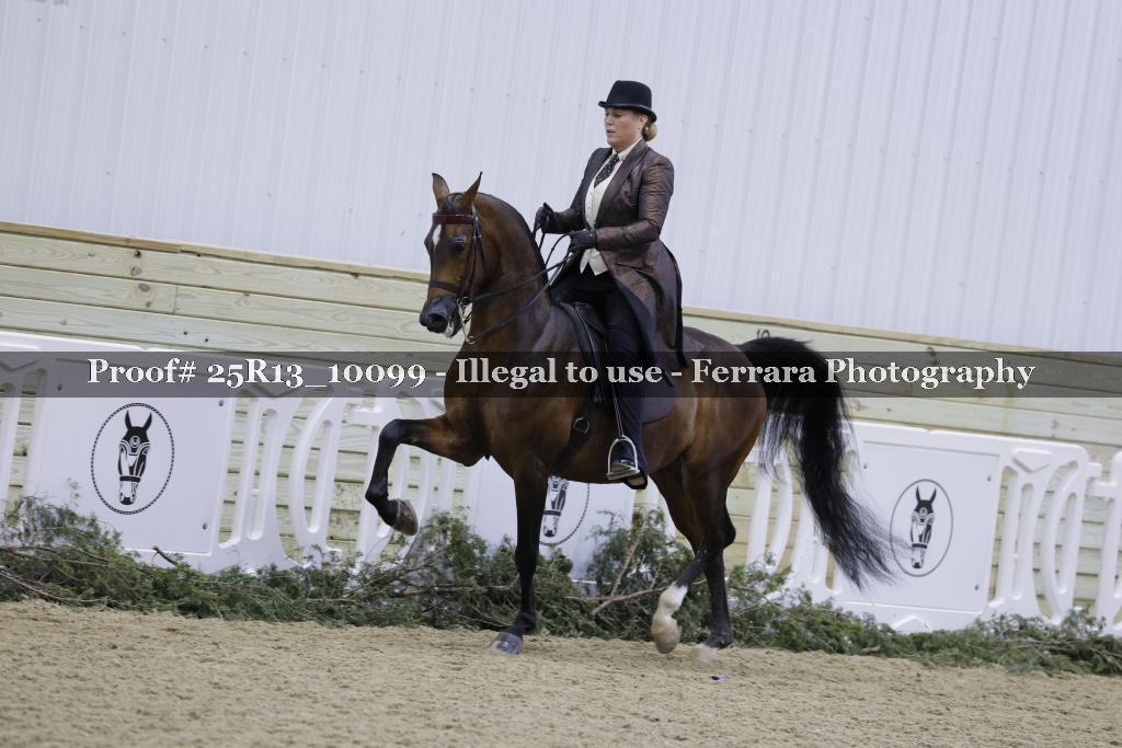 Proof Number 25R13_10099