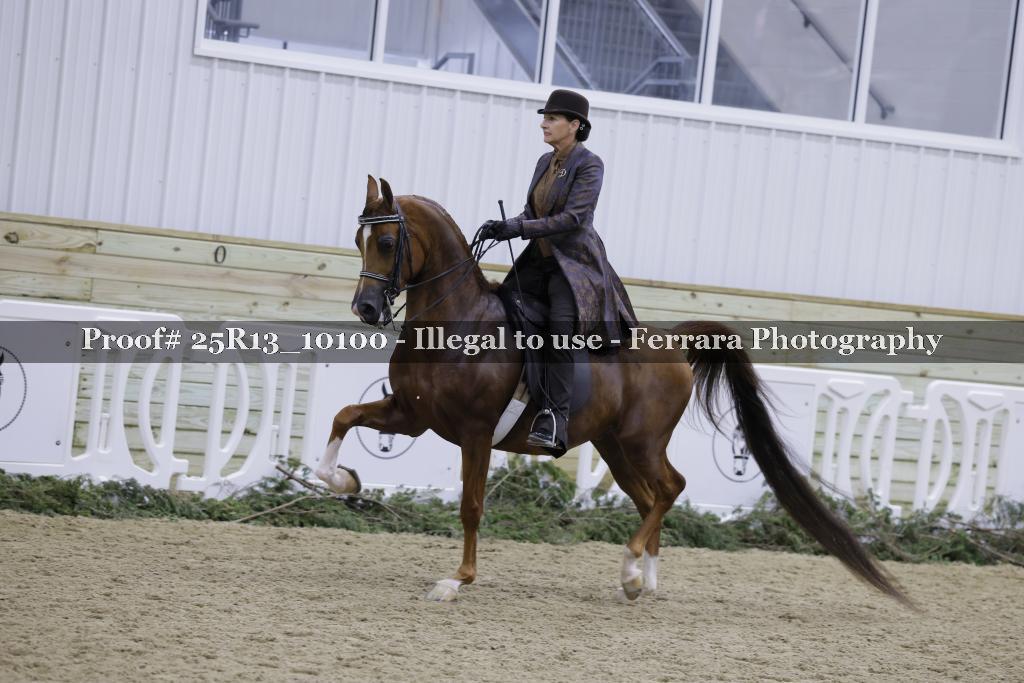Proof Number 25R13_10100