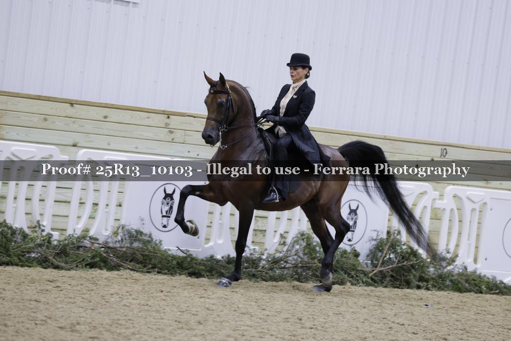 Proof Number 25R13_10103