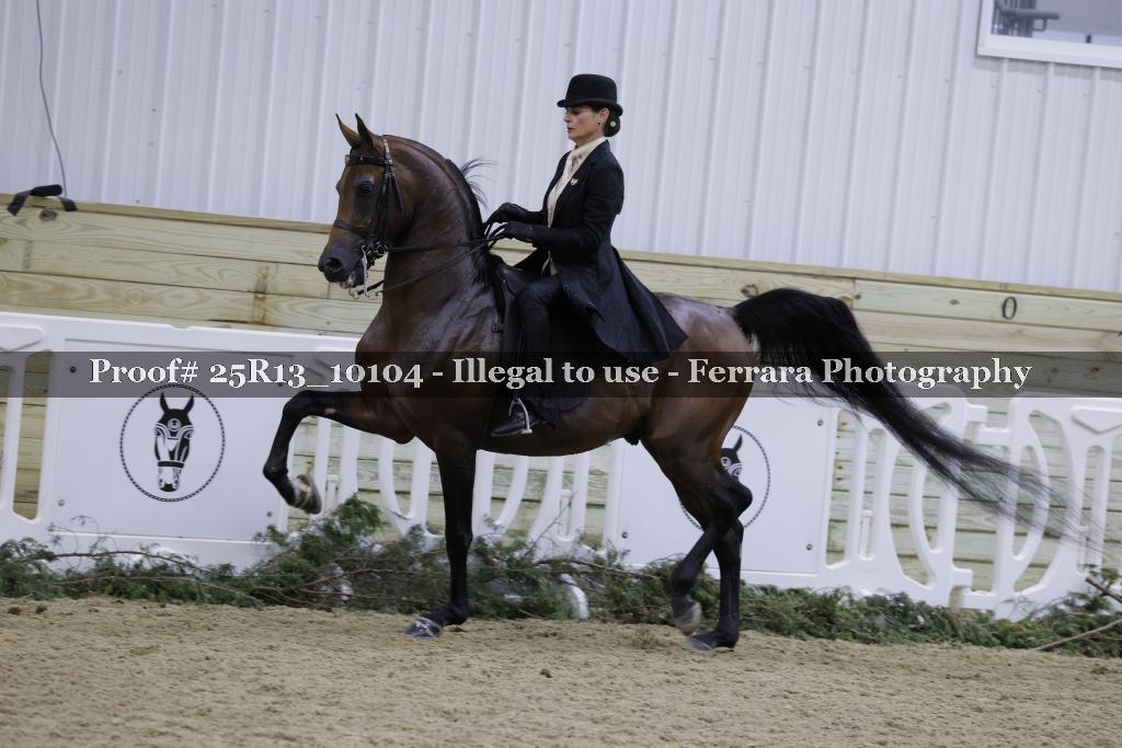 Proof Number 25R13_10104