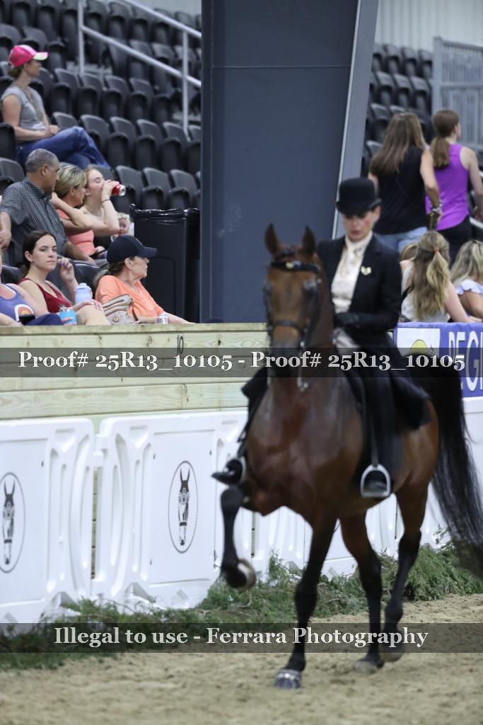 Proof Number 25R13_10105