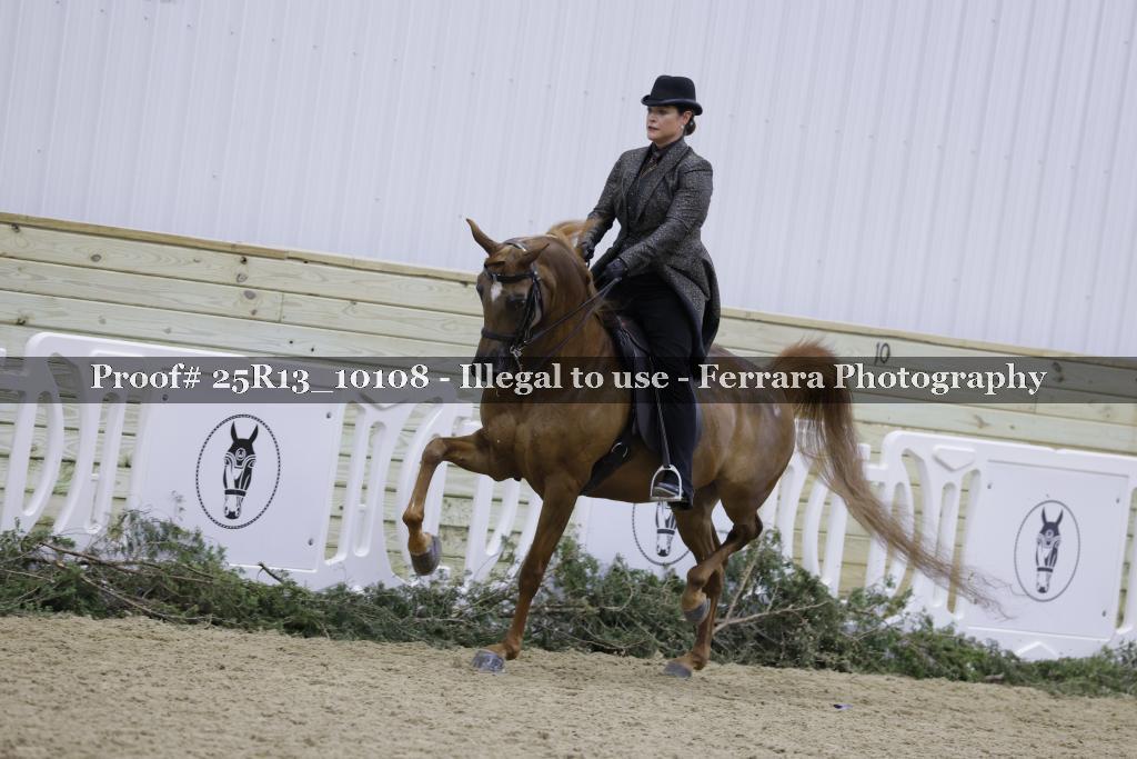 Proof Number 25R13_10108