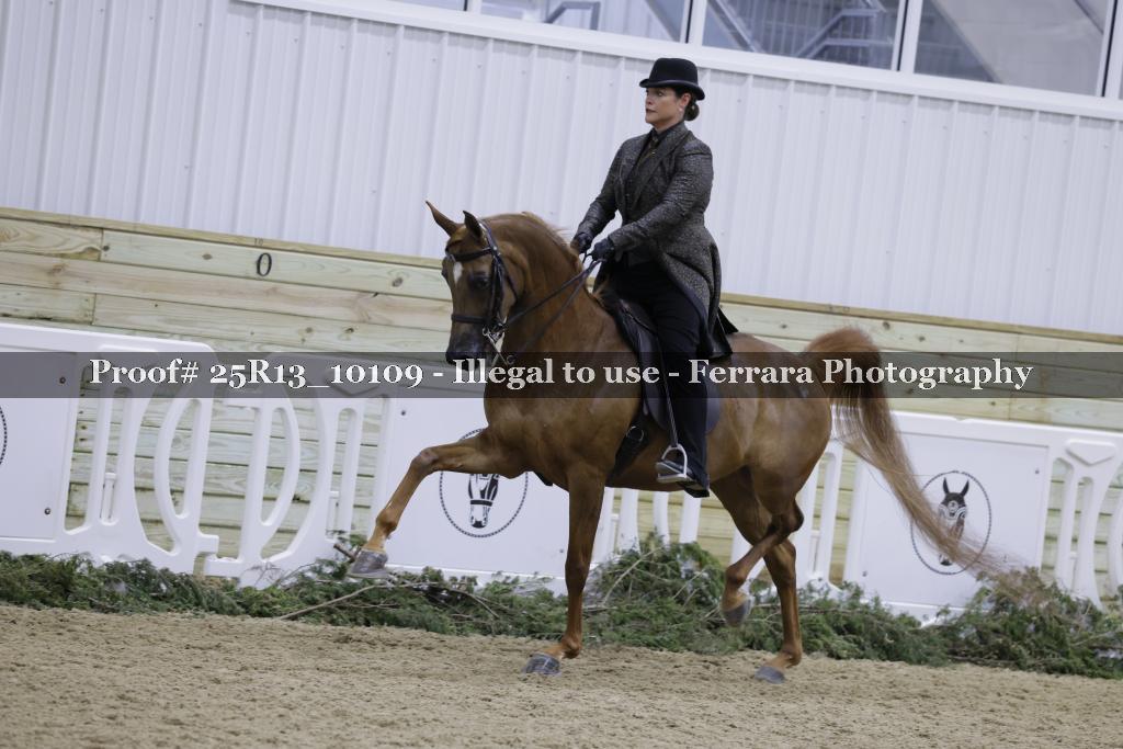 Proof Number 25R13_10109