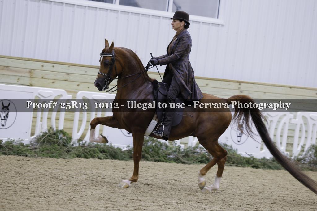 Proof Number 25R13_10112
