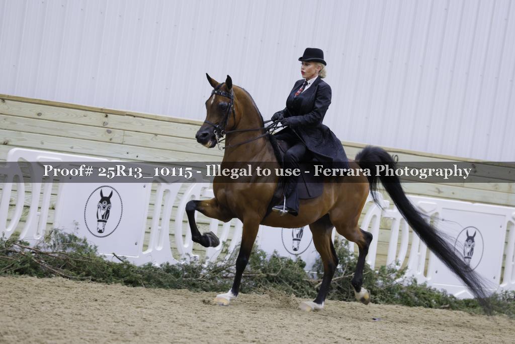 Proof Number 25R13_10115