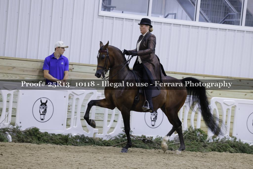 Proof Number 25R13_10118