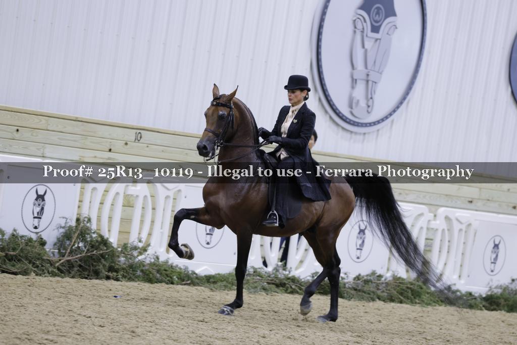 Proof Number 25R13_10119
