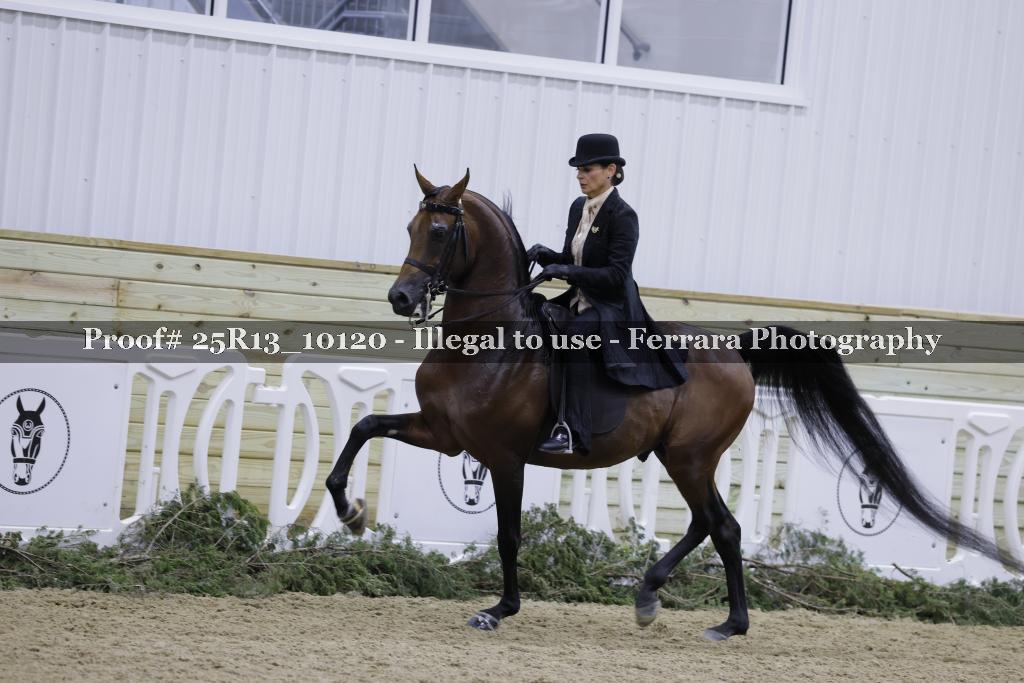 Proof Number 25R13_10120