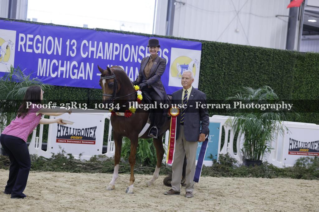 Proof Number 25R13_10134