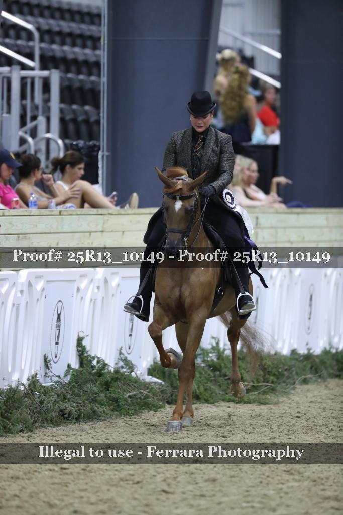 Proof Number 25R13_10149