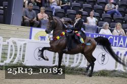 25R13_10183 thumbnail