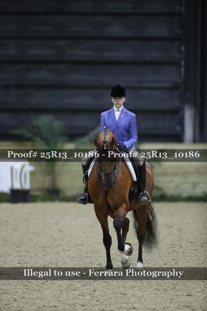 Proof Number 25R13_10186