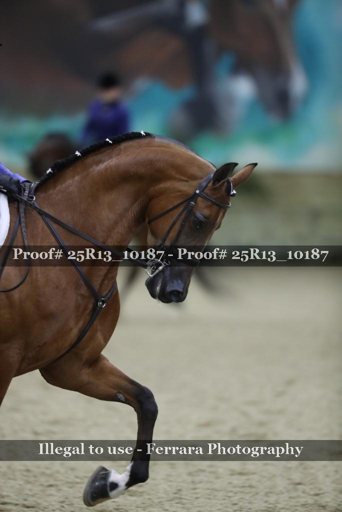 Proof Number 25R13_10187