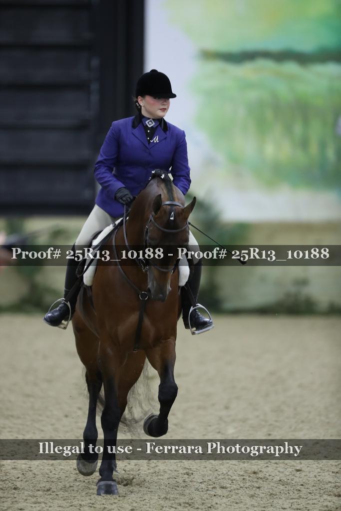 Proof Number 25R13_10188