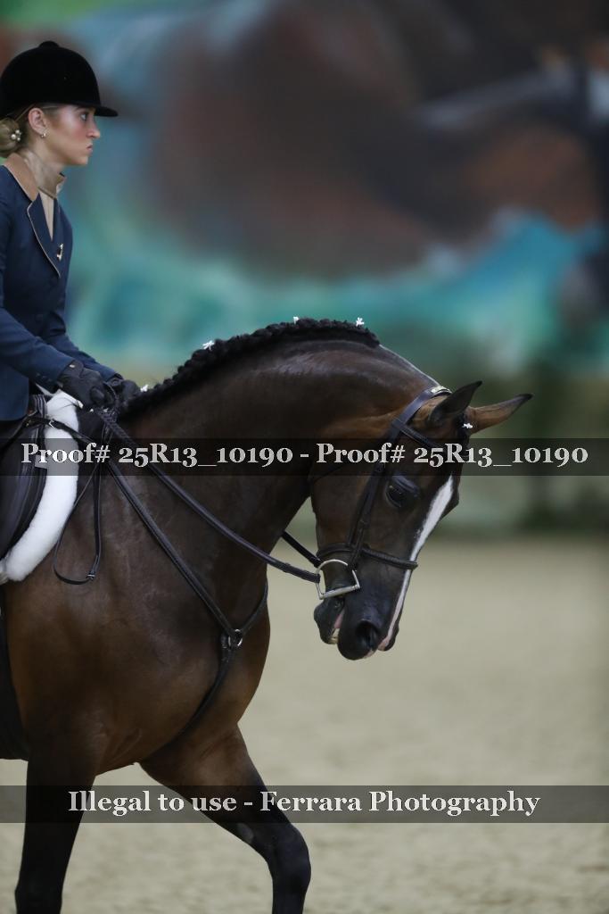 Proof Number 25R13_10190