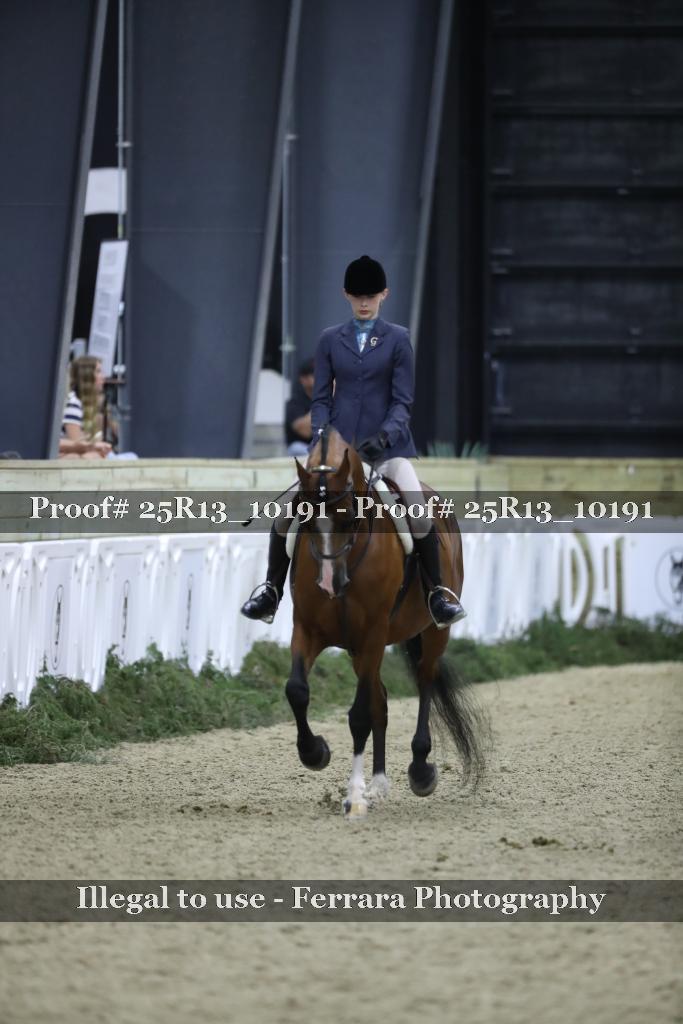 Proof Number 25R13_10191
