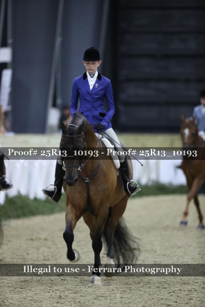 Proof Number 25R13_10193
