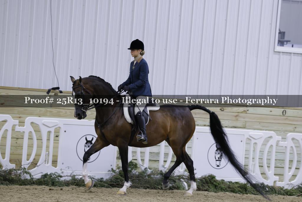 Proof Number 25R13_10194