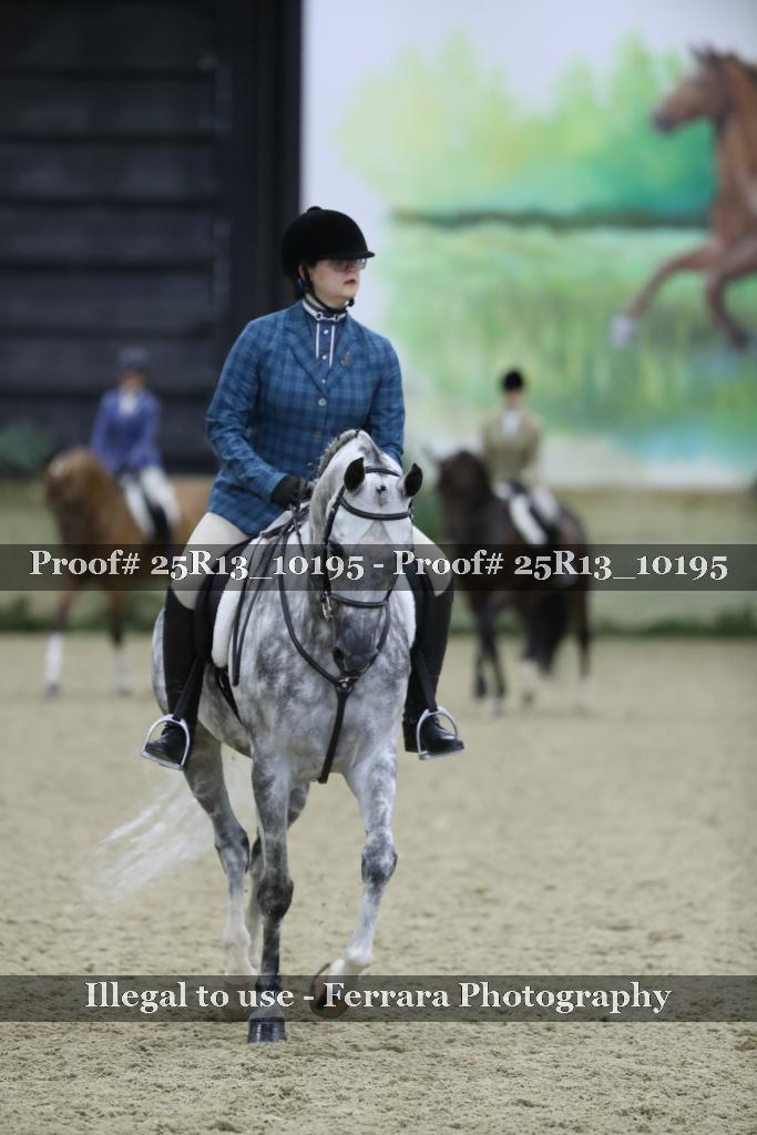Proof Number 25R13_10195