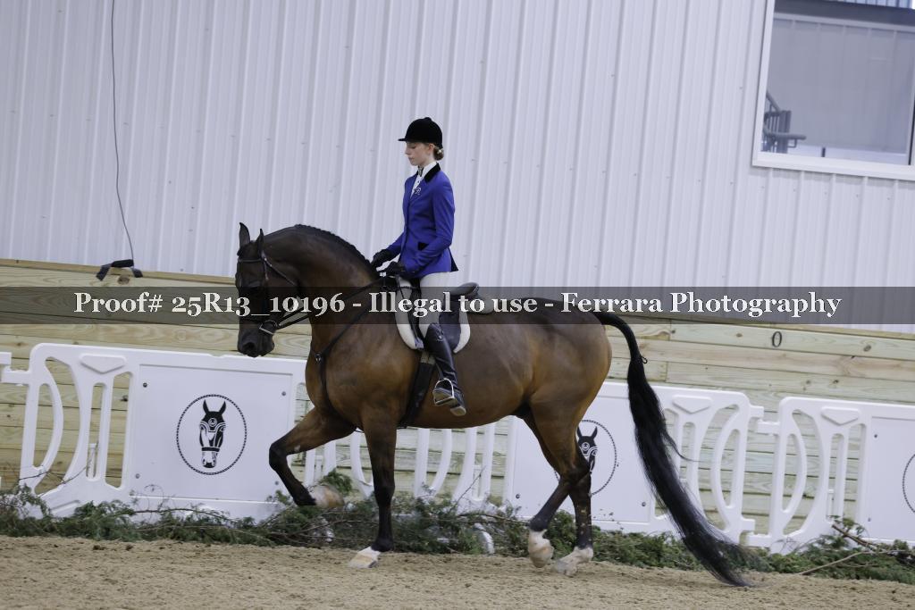 Proof Number 25R13_10196