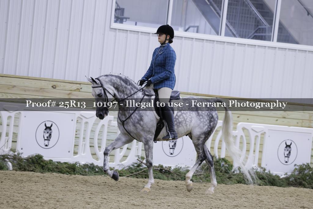 Proof Number 25R13_10197