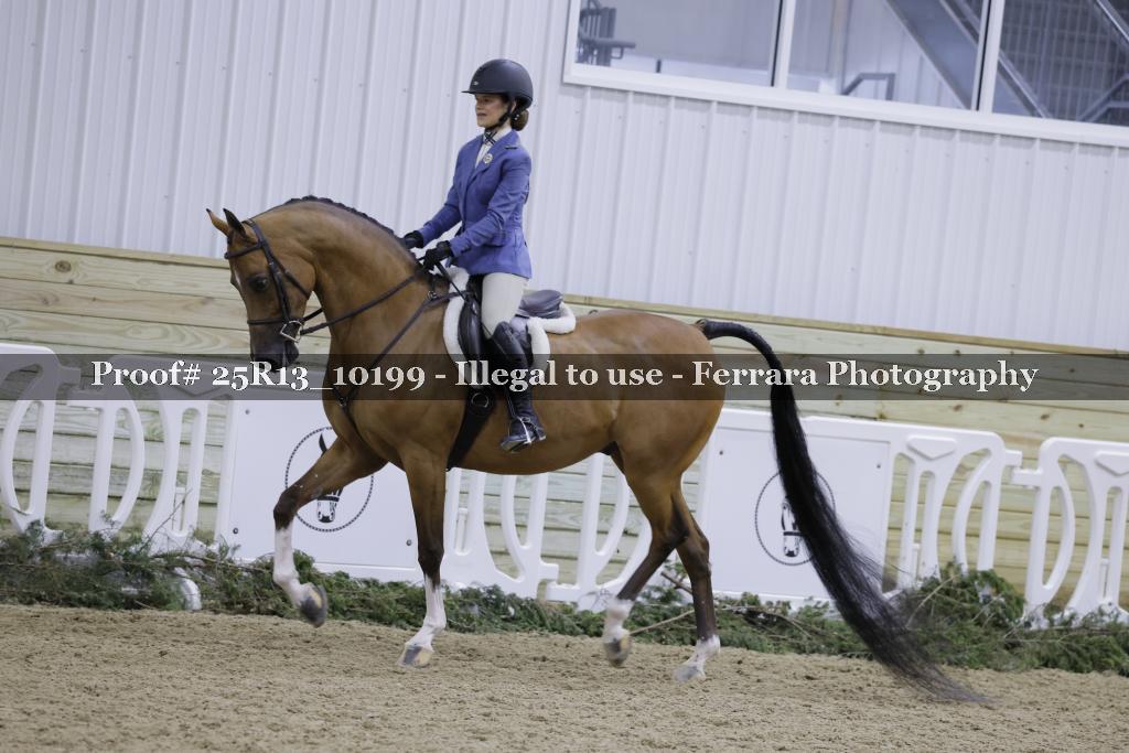 Proof Number 25R13_10199
