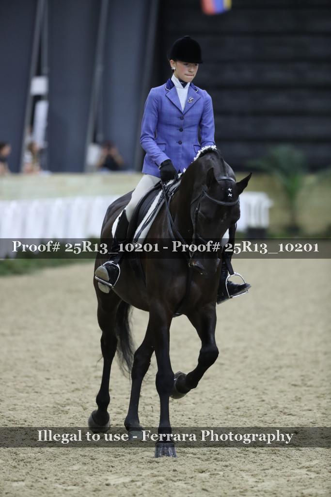 Proof Number 25R13_10201