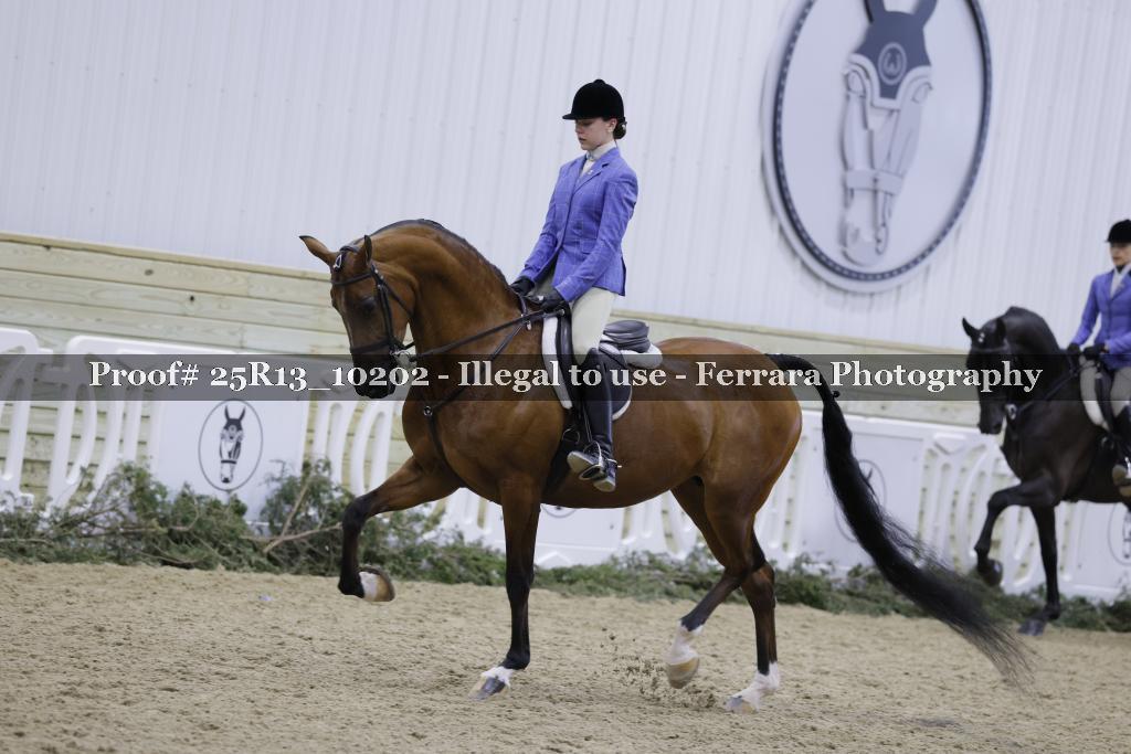 Proof Number 25R13_10202