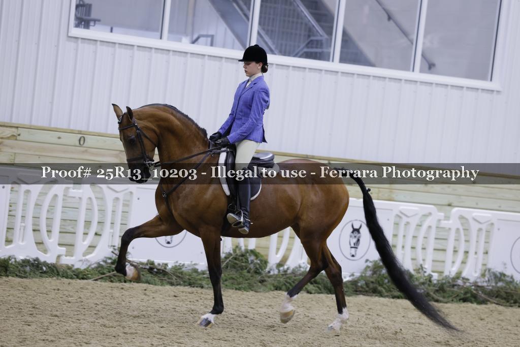 Proof Number 25R13_10203