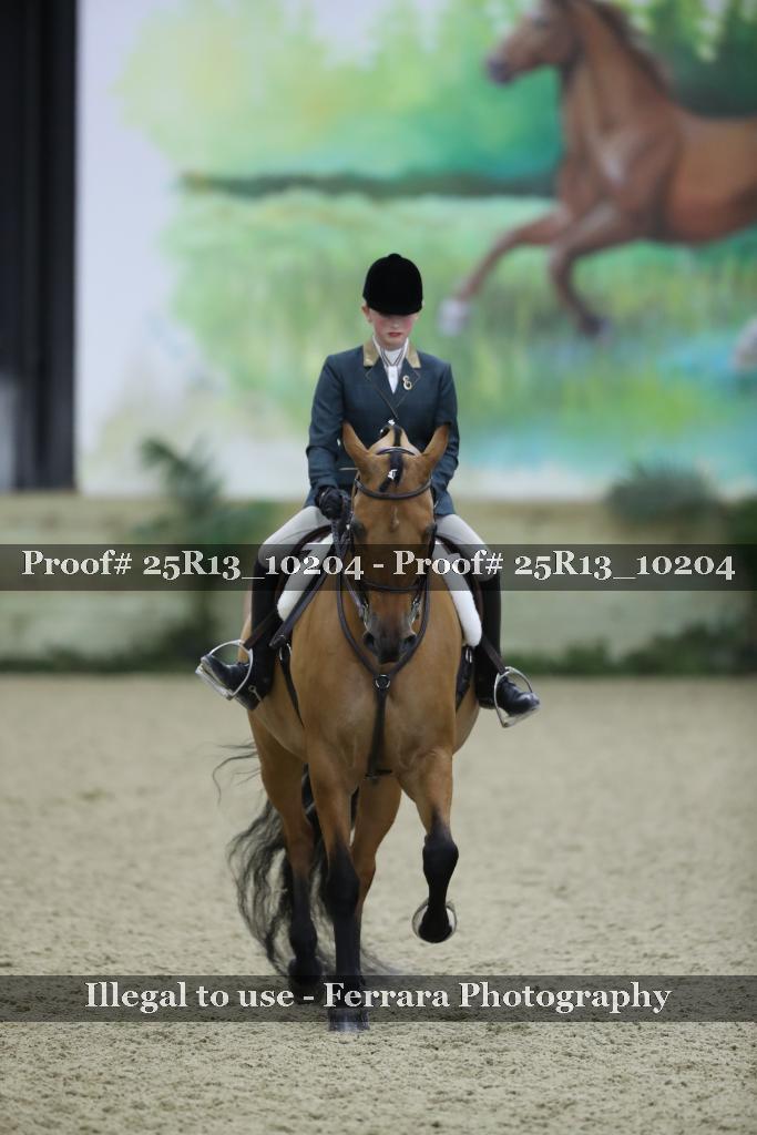 Proof Number 25R13_10204