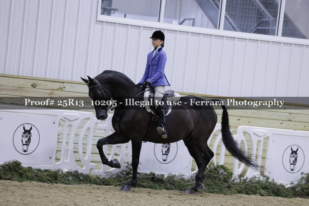 Proof Number 25R13_10205