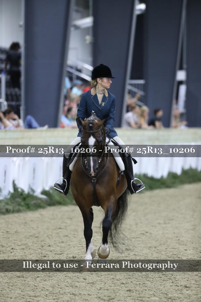 Proof Number 25R13_10206