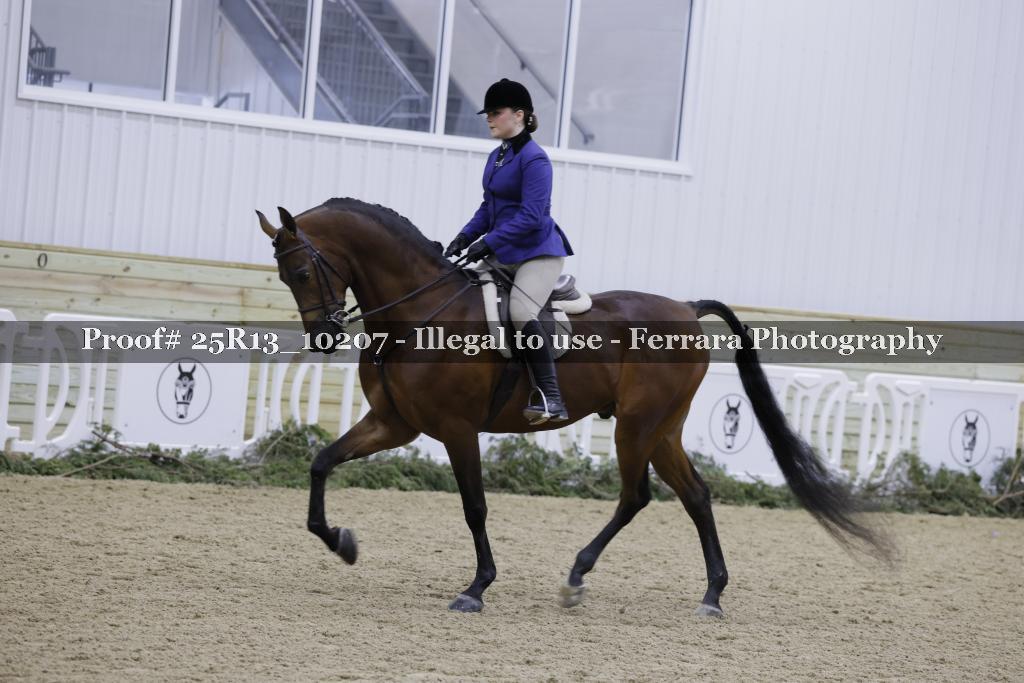 Proof Number 25R13_10207