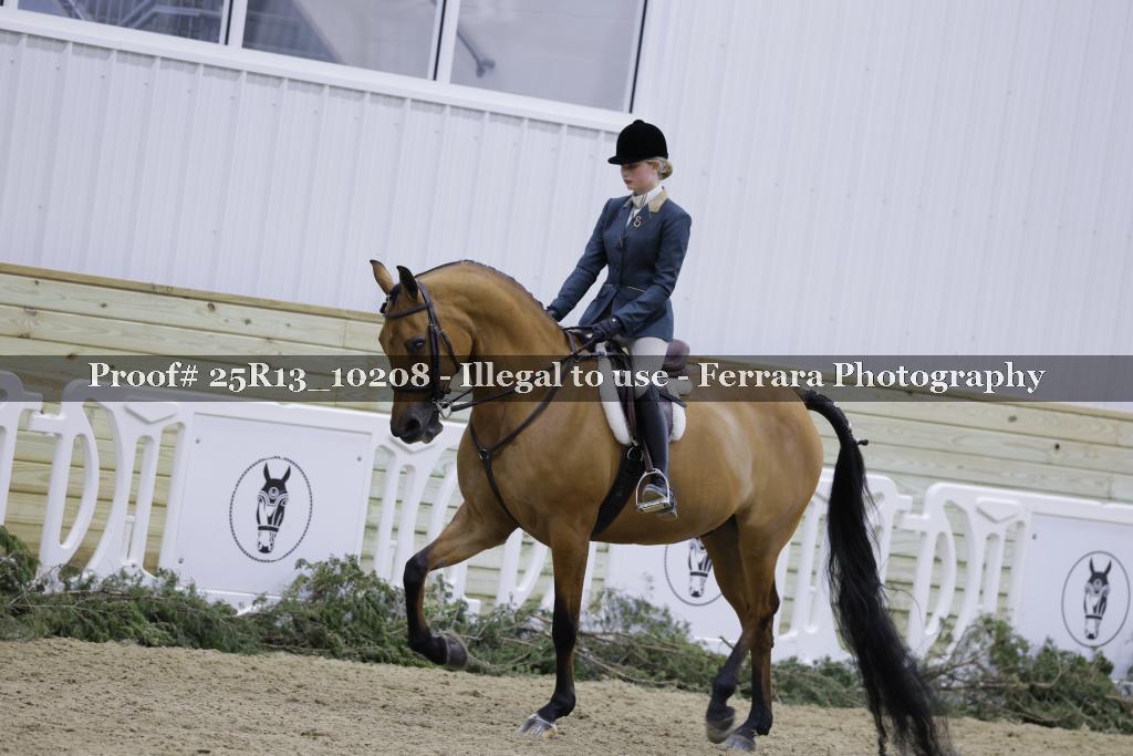 Proof Number 25R13_10208