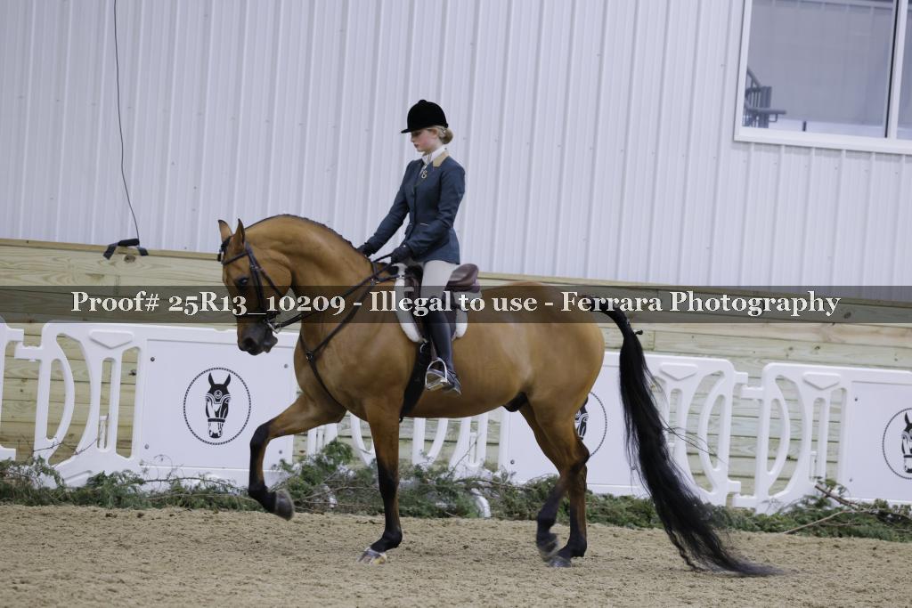 Proof Number 25R13_10209