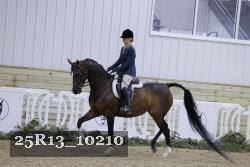 25R13_10210 thumbnail