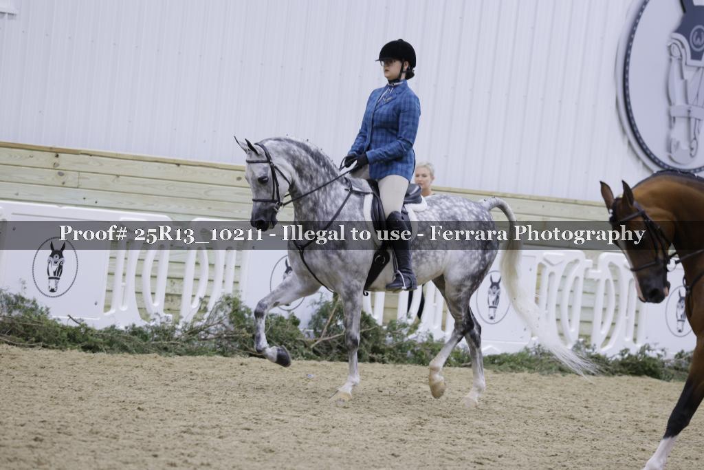 Proof Number 25R13_10211