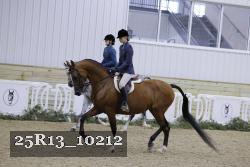 25R13_10212 thumbnail