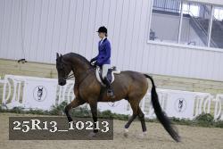 25R13_10213 thumbnail