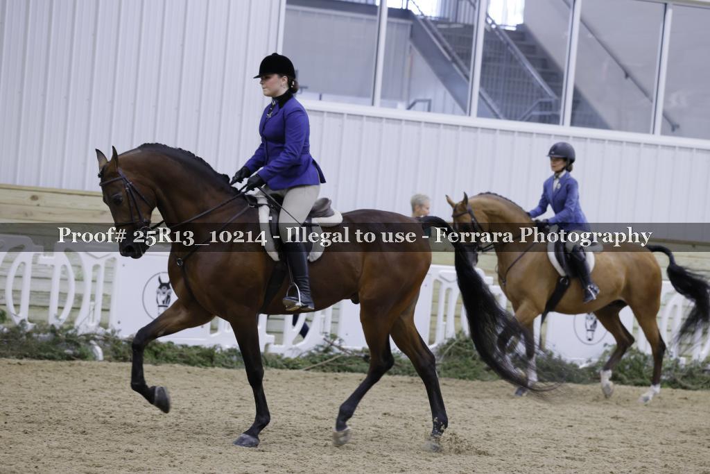 Proof Number 25R13_10214
