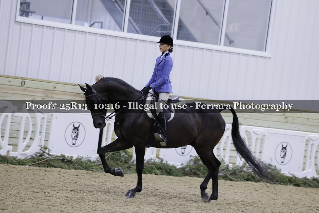 Proof Number 25R13_10216